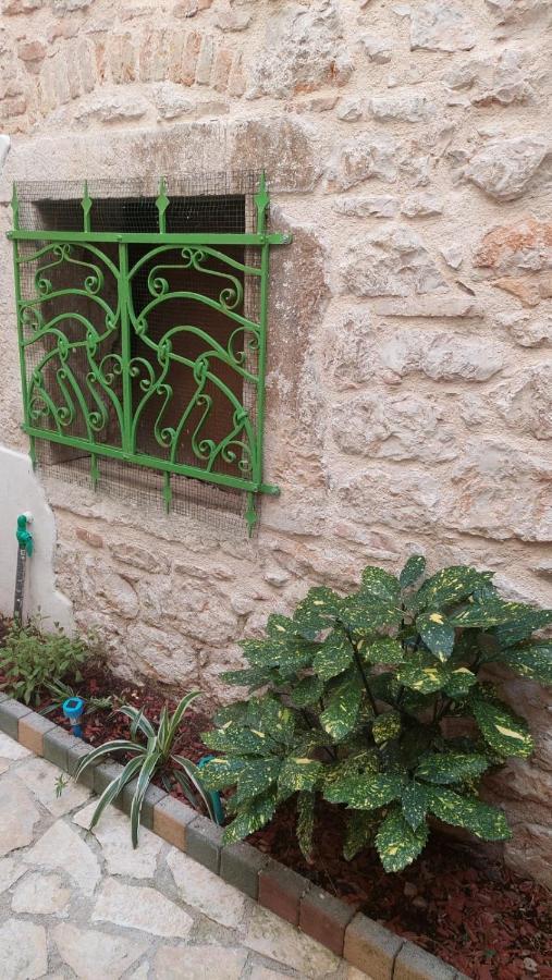 Studio With Garden In Rovinj Exterior foto